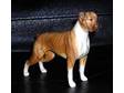 A BEAUTIFUL BESWICK figure of a boxer dog named blue....